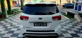 Kia Carnival, 2014-9