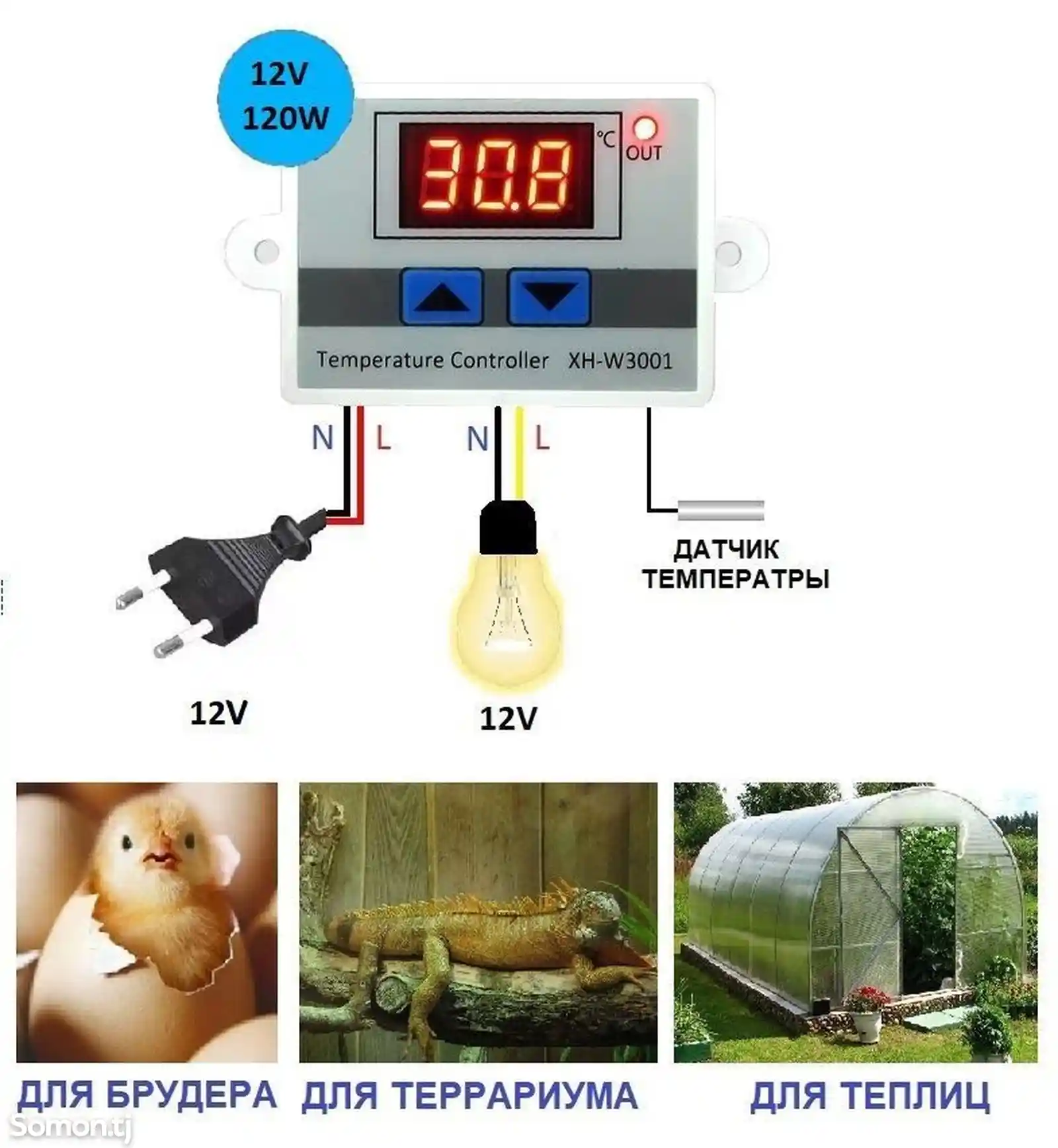 Терморегулятор для инкубатора-1