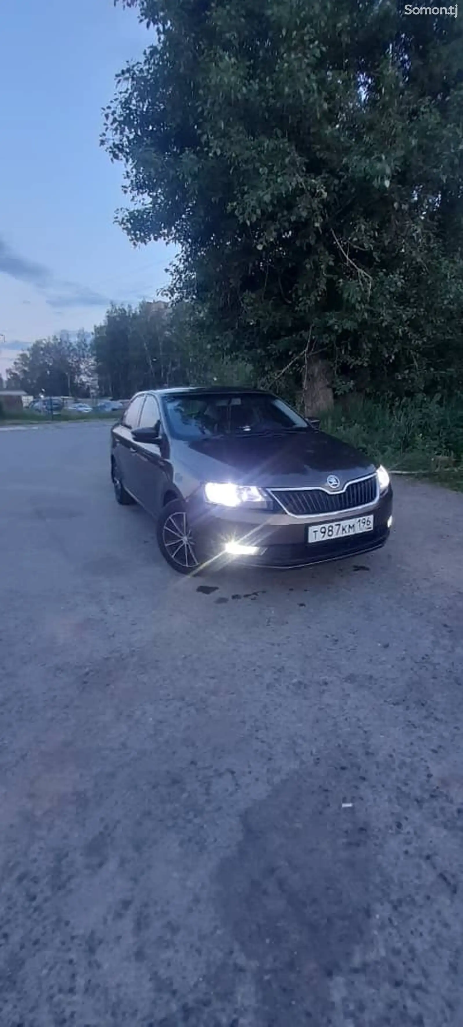 Skoda Rapid, 2019-6