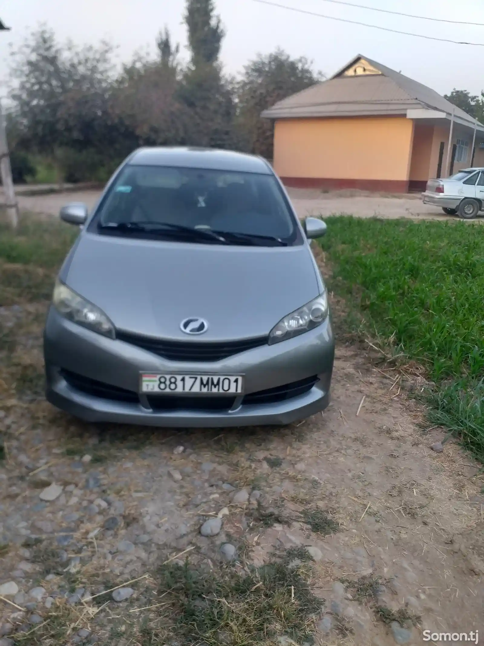 Toyota Wish, 2010-6