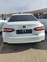 Toyota Camry, 2018-9