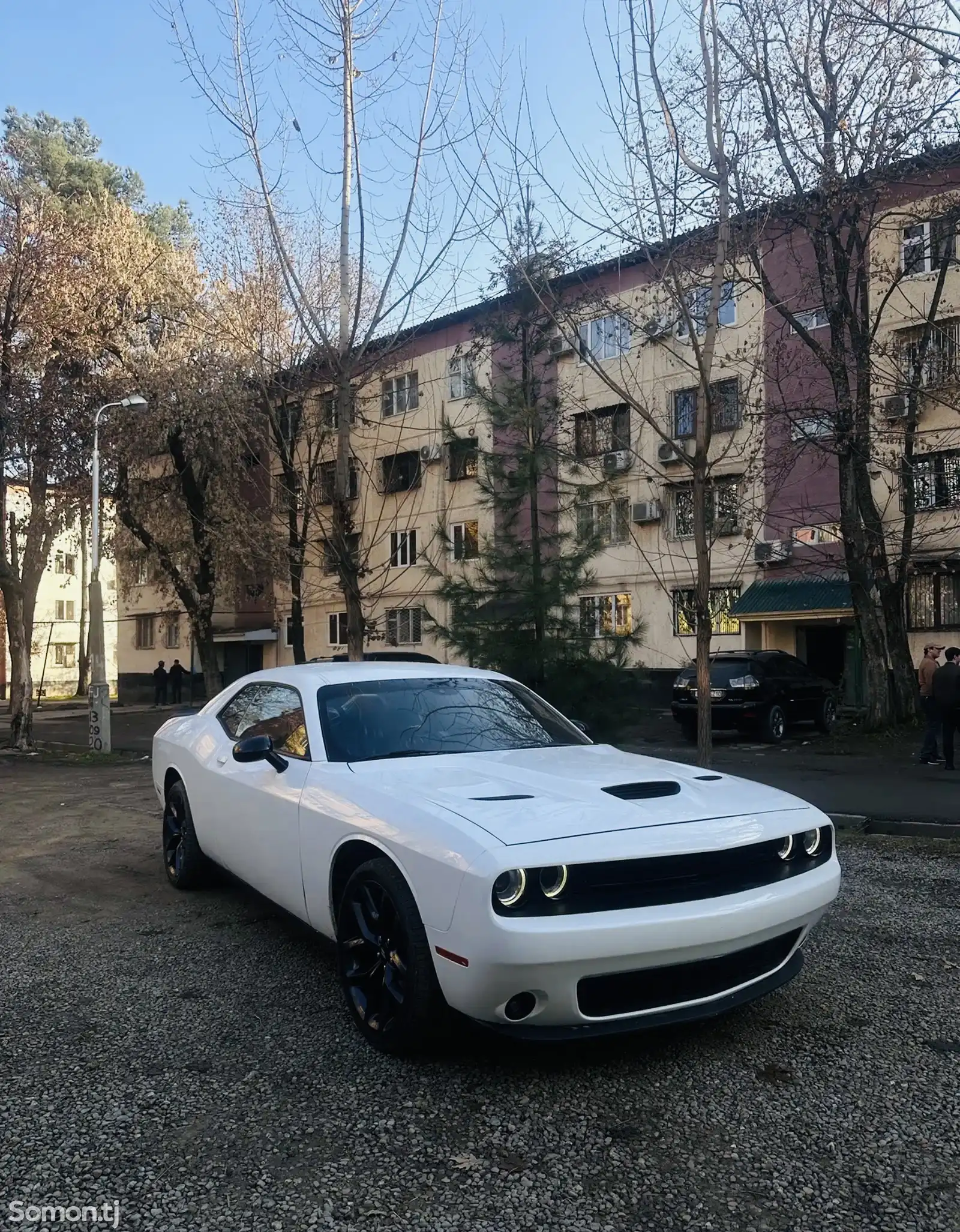 Dodge Challenger, 2019-1