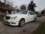 Mercedes-Benz E class, 2008-2