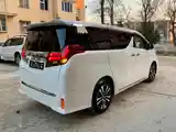 Toyota Alphard, 2017-6