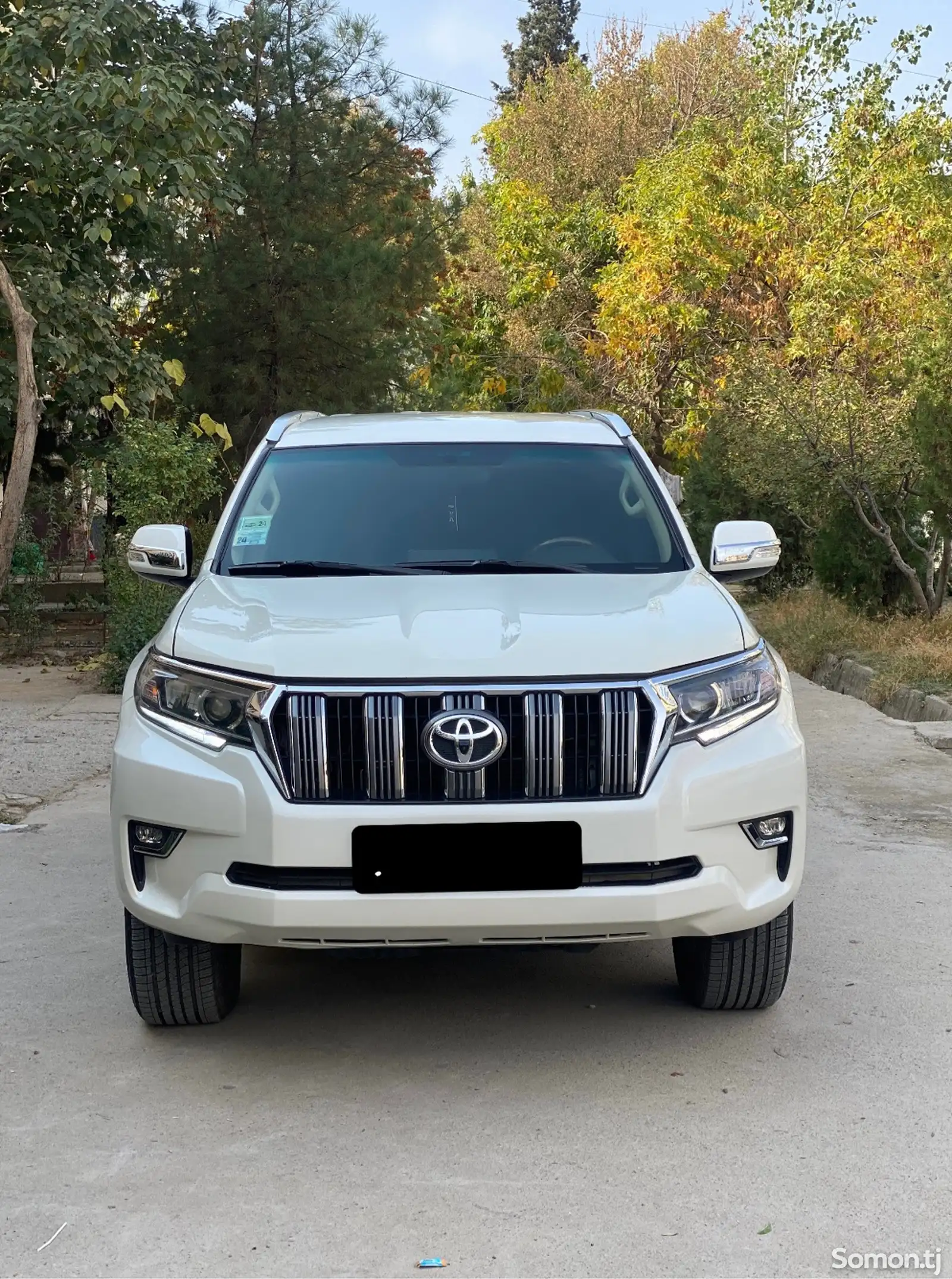 Toyota Land Cruiser Prado, 2011-1