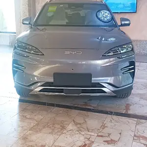 BYD Song Plus Flagship, 2024