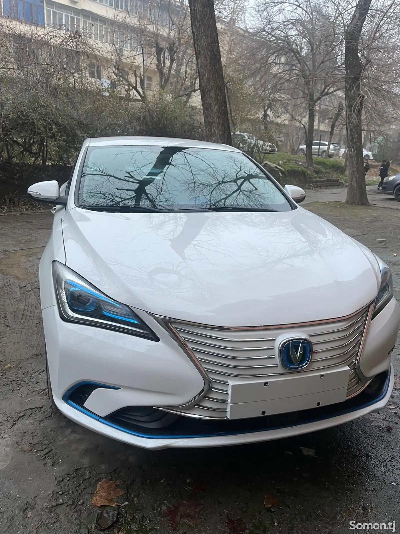 Changan Qiyuan A, 2021-1