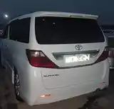 Toyota Alphard, 2010-4