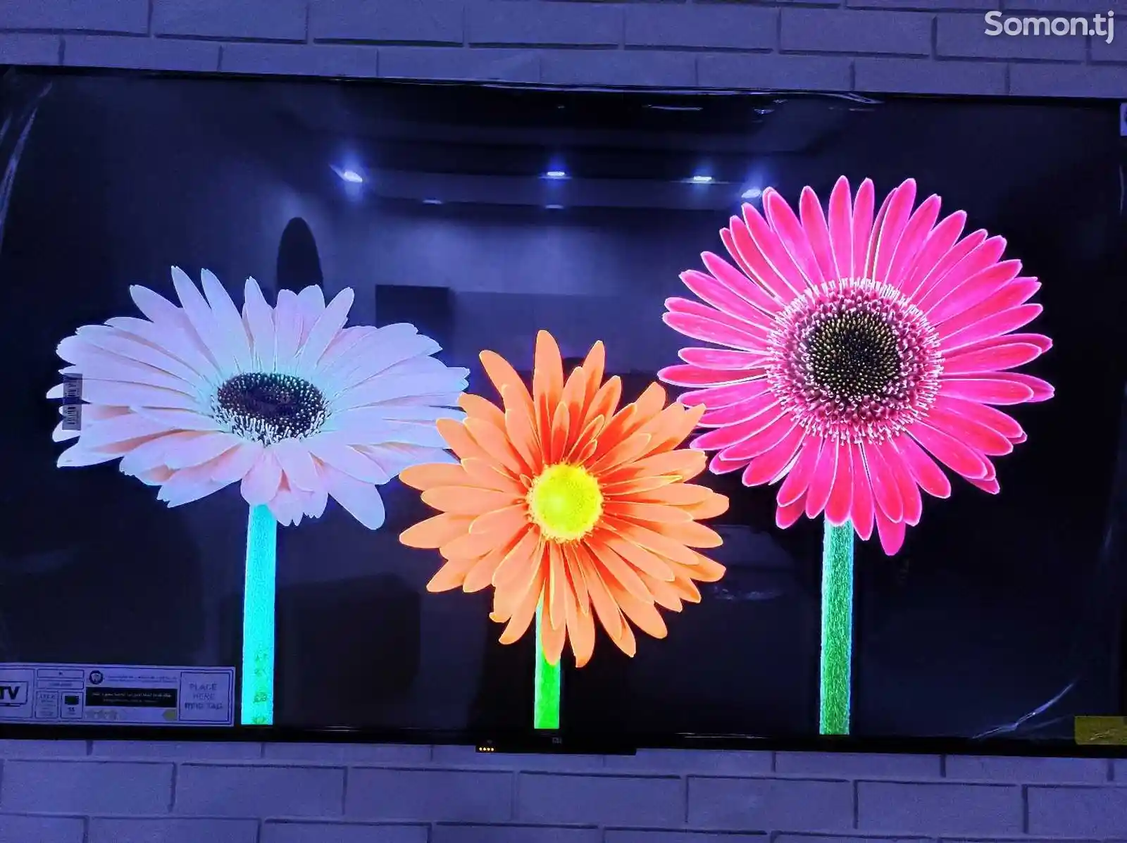 Телевизор Xiaomi TV P1 55-6