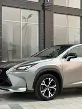 Lexus NX series, 2019-2