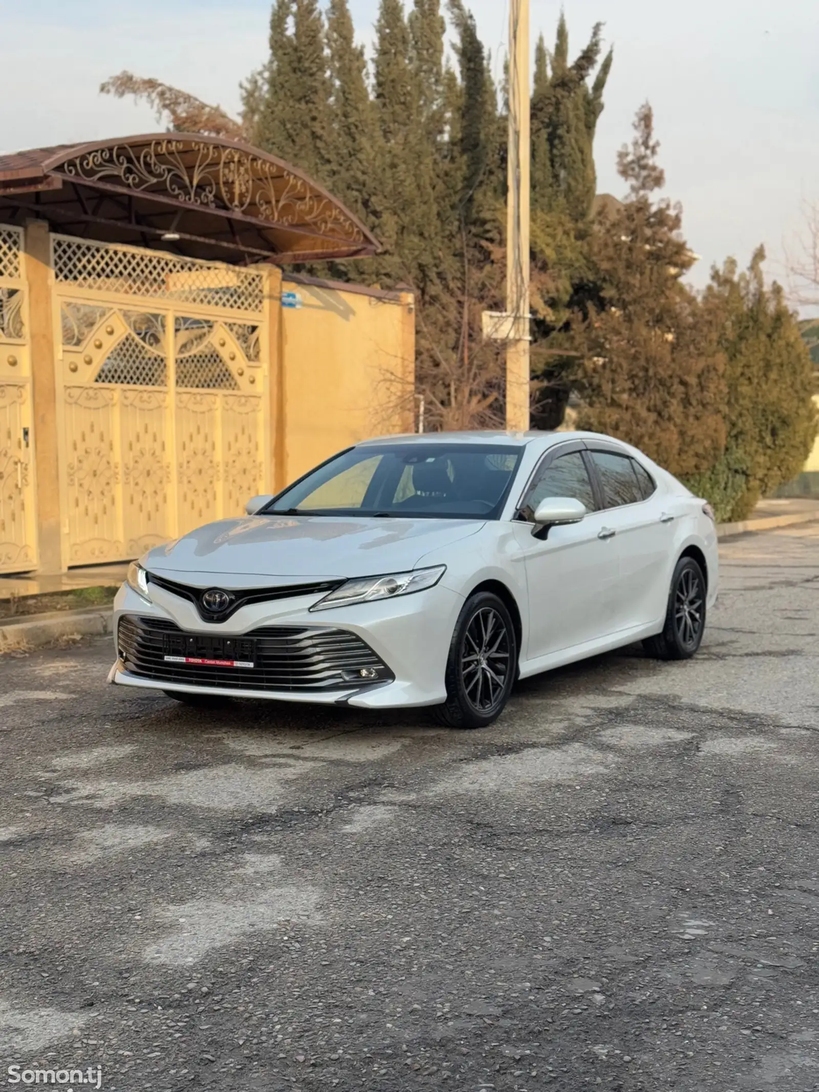 Toyota Camry, 2019-1