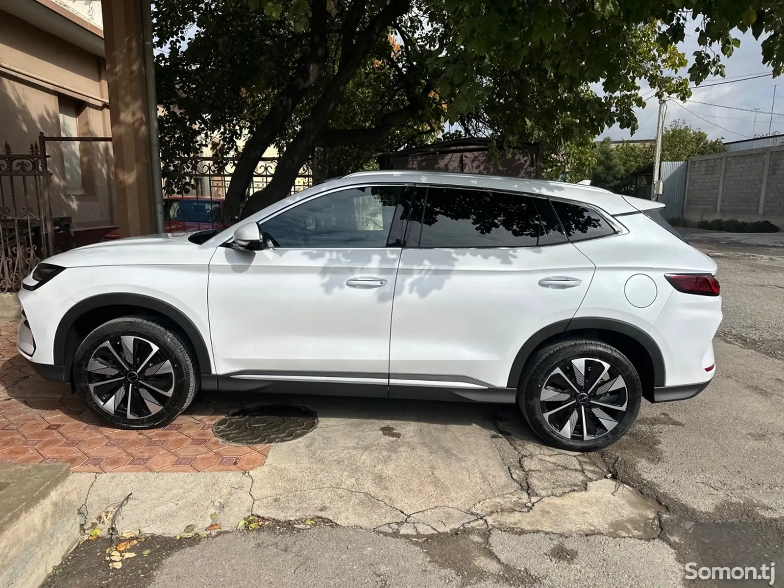 BYD Song Plus Flagship, 2024-2