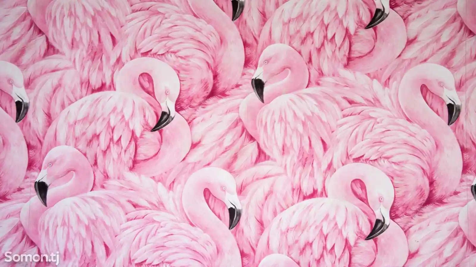 Обои Розовое фламинго-4