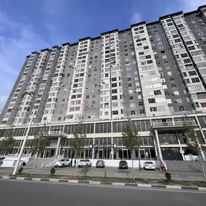 2-комн. квартира, 11 этаж, 55 м², Зарнисор