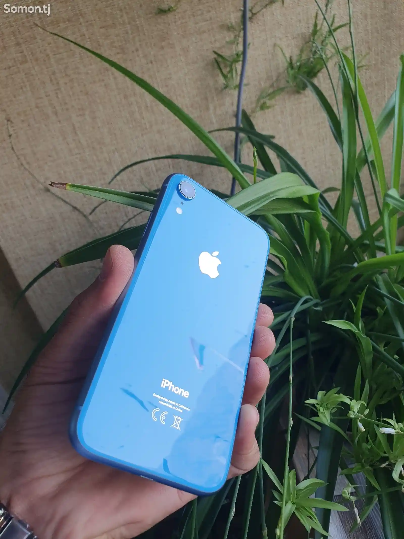 Apple iPhone Xr, 64 gb, Blue-6