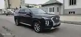 Hyundai Palisade, 2020-4