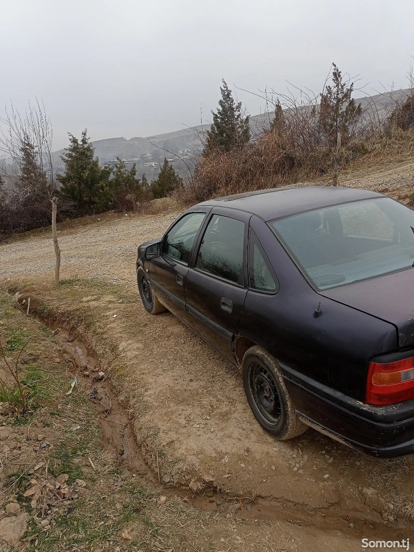 Opel Vectra A, 1993-1