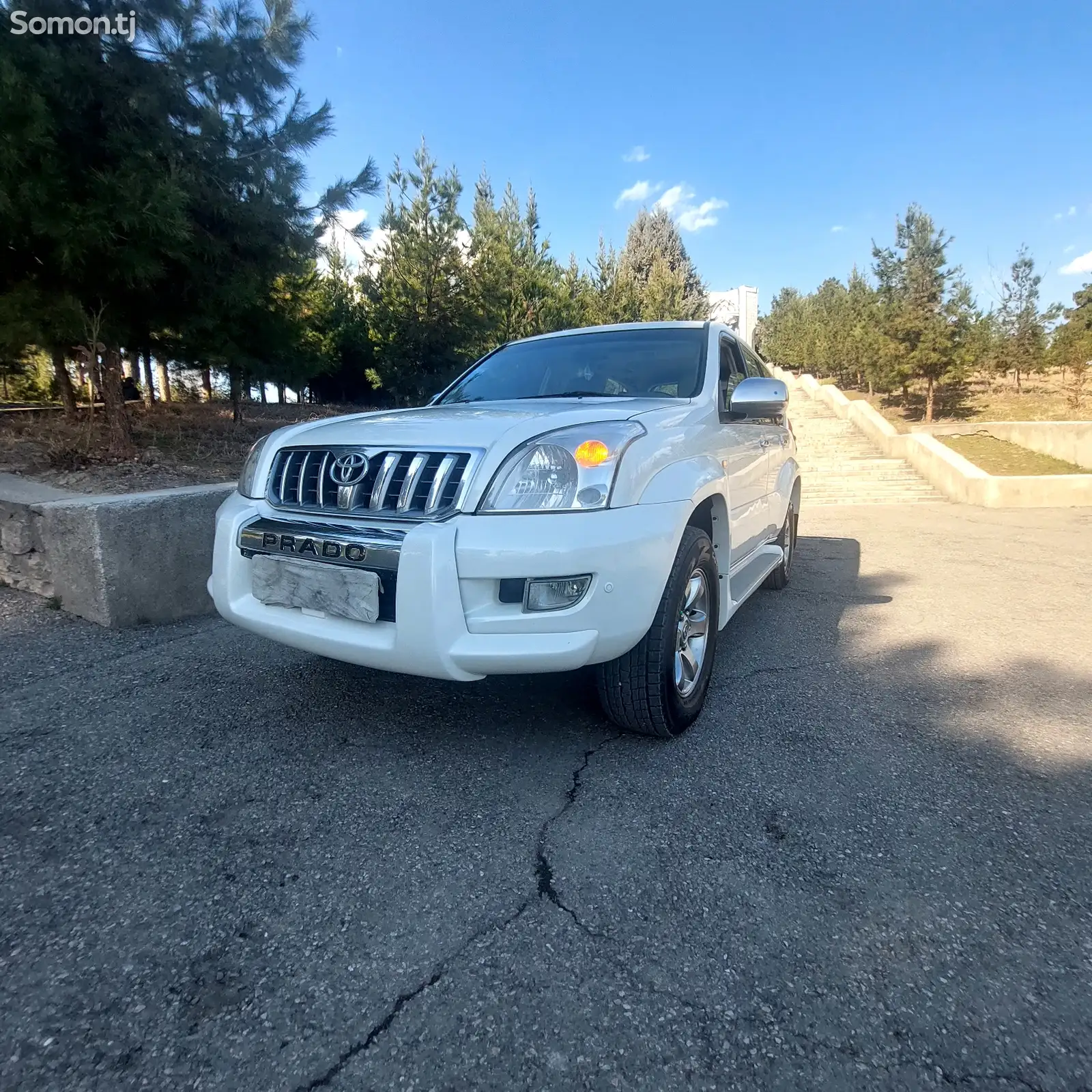 Toyota Land Cruiser Prado, 2009-1