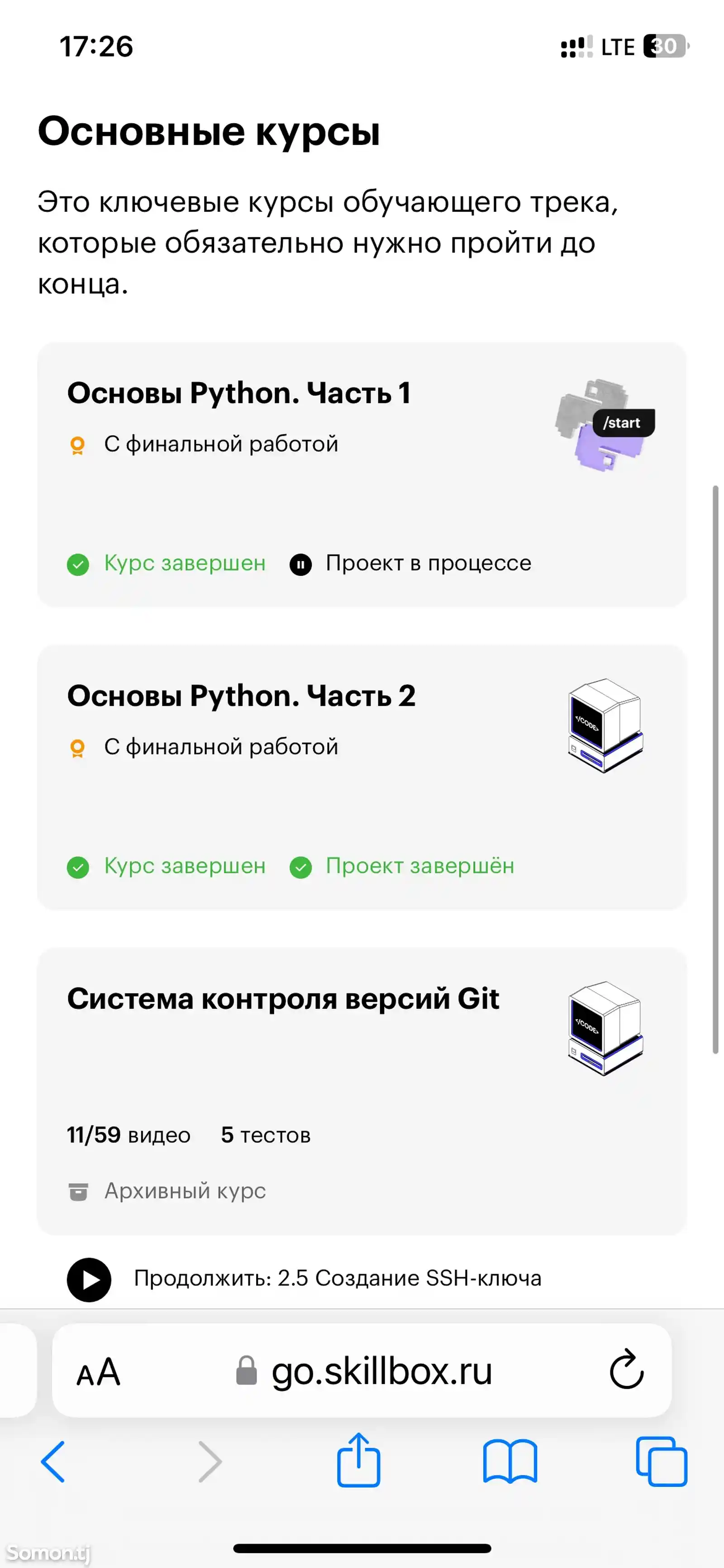 Курс Python разработчик от Skillbox-2