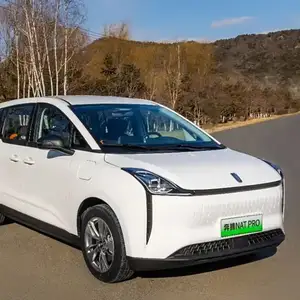 Легковые автомобили Другие марки, 2024