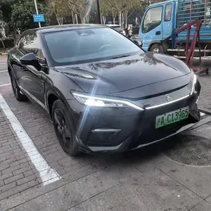 BYD Song, 2024