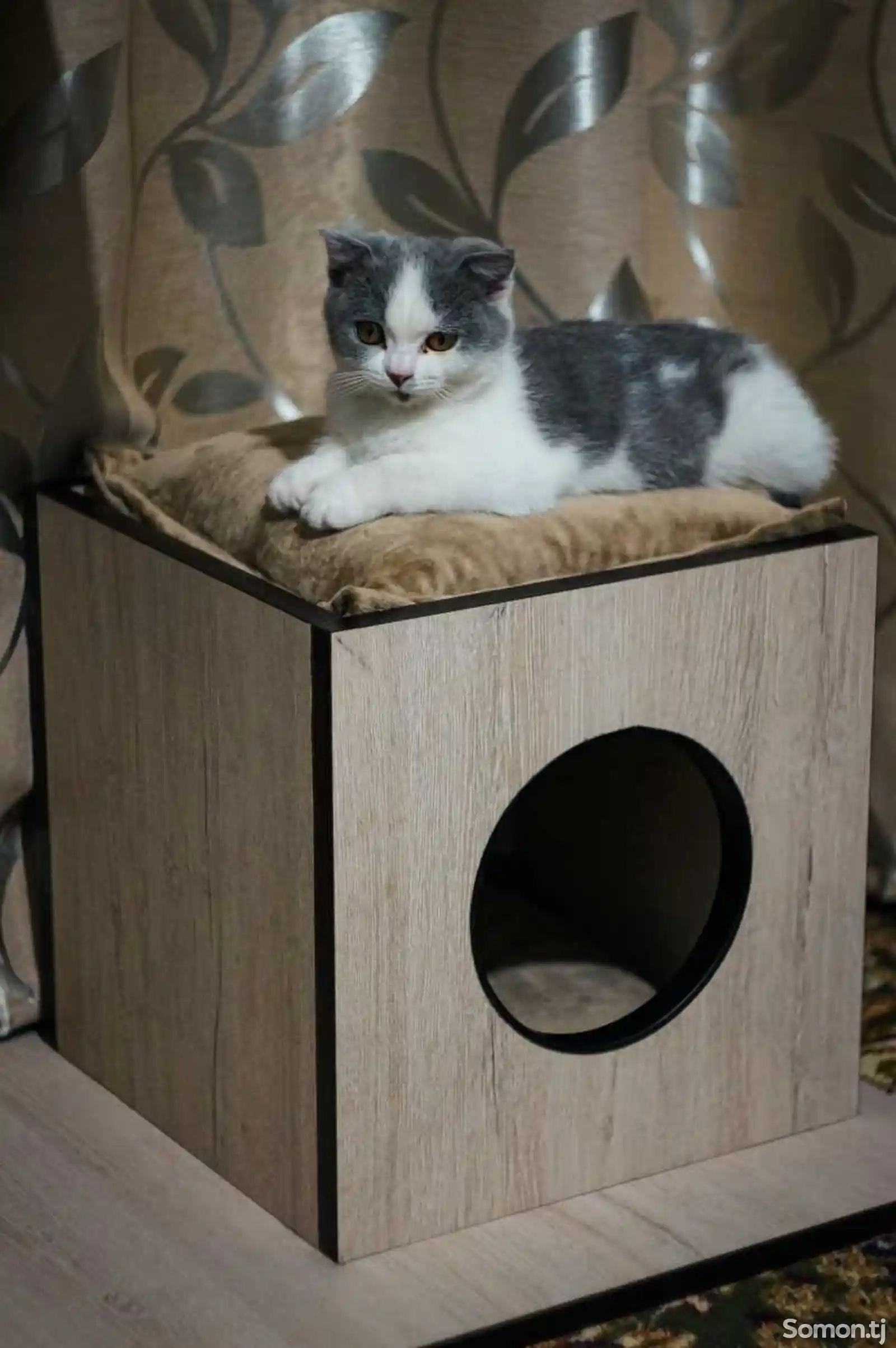 Когтеточка и домик для кошек-3