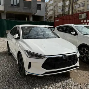 BYD E3, 2020