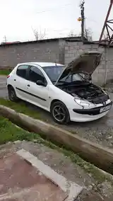 Peugeot 206, 2003-6