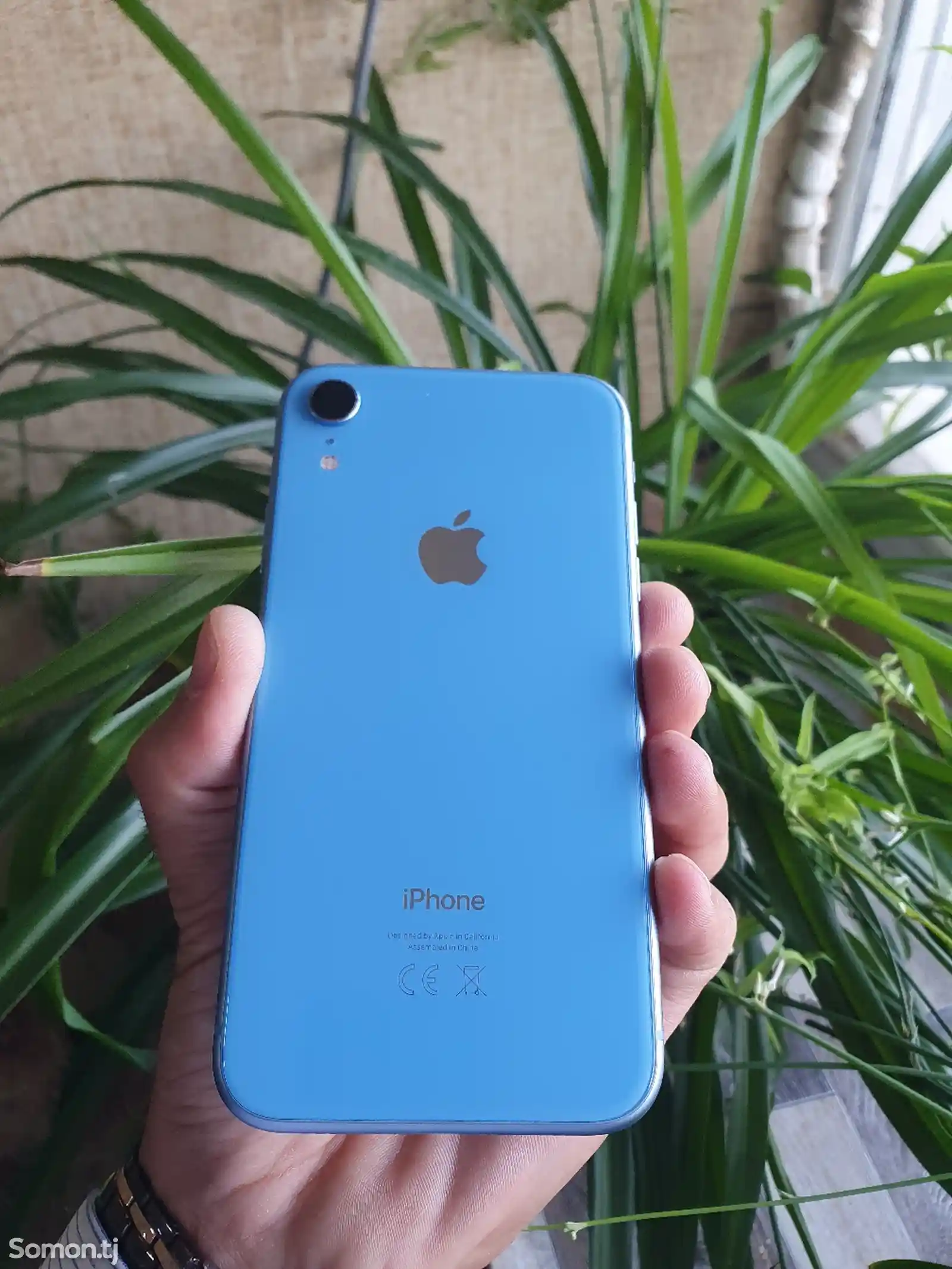 Apple iPhone Xr, 64 gb, Blue-5