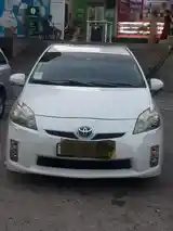 Toyota Prius, 2009-6