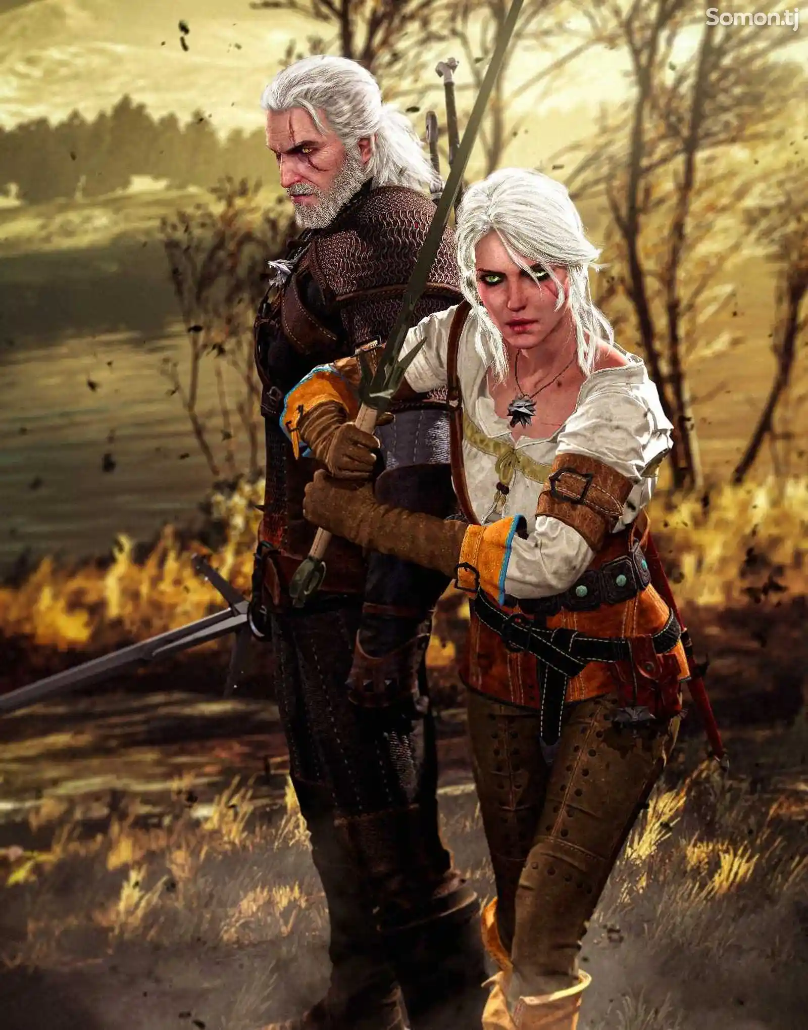 Игра The witcher -2 Assasins of Kings-2
