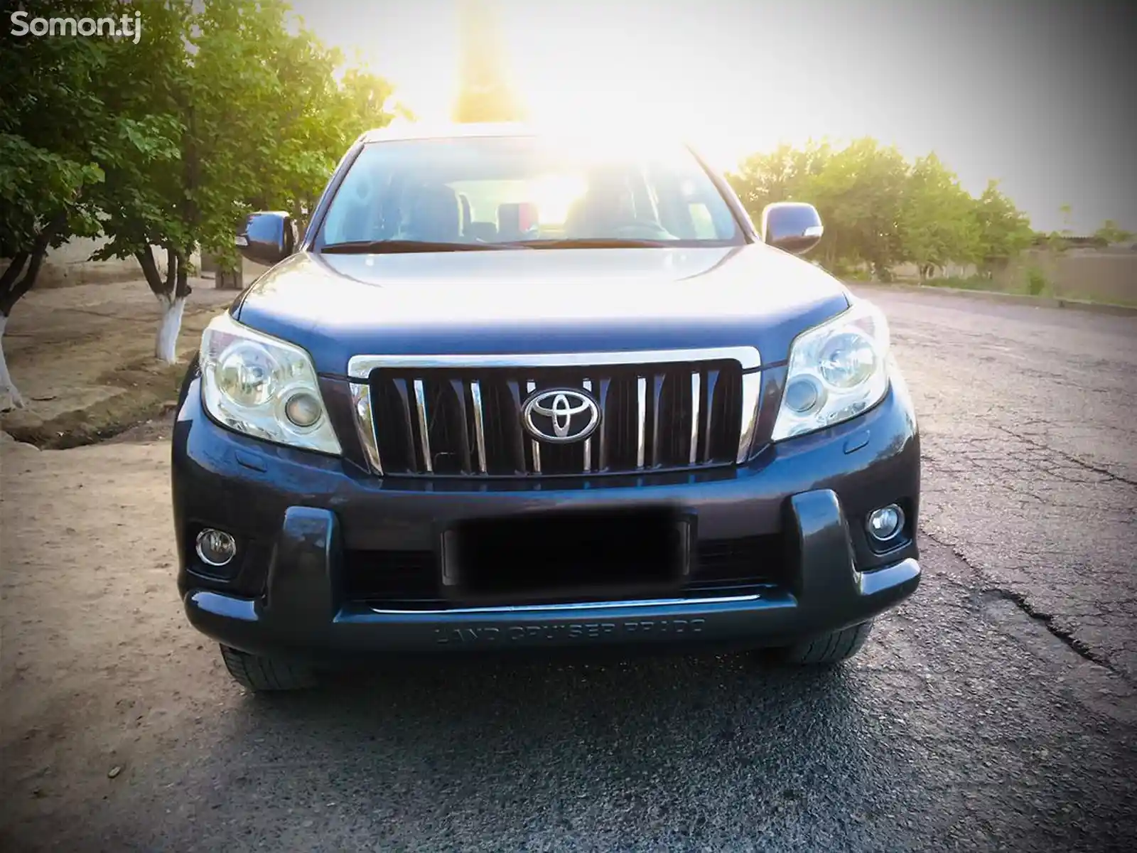 Toyota Land Cruiser Prado, 2010-5