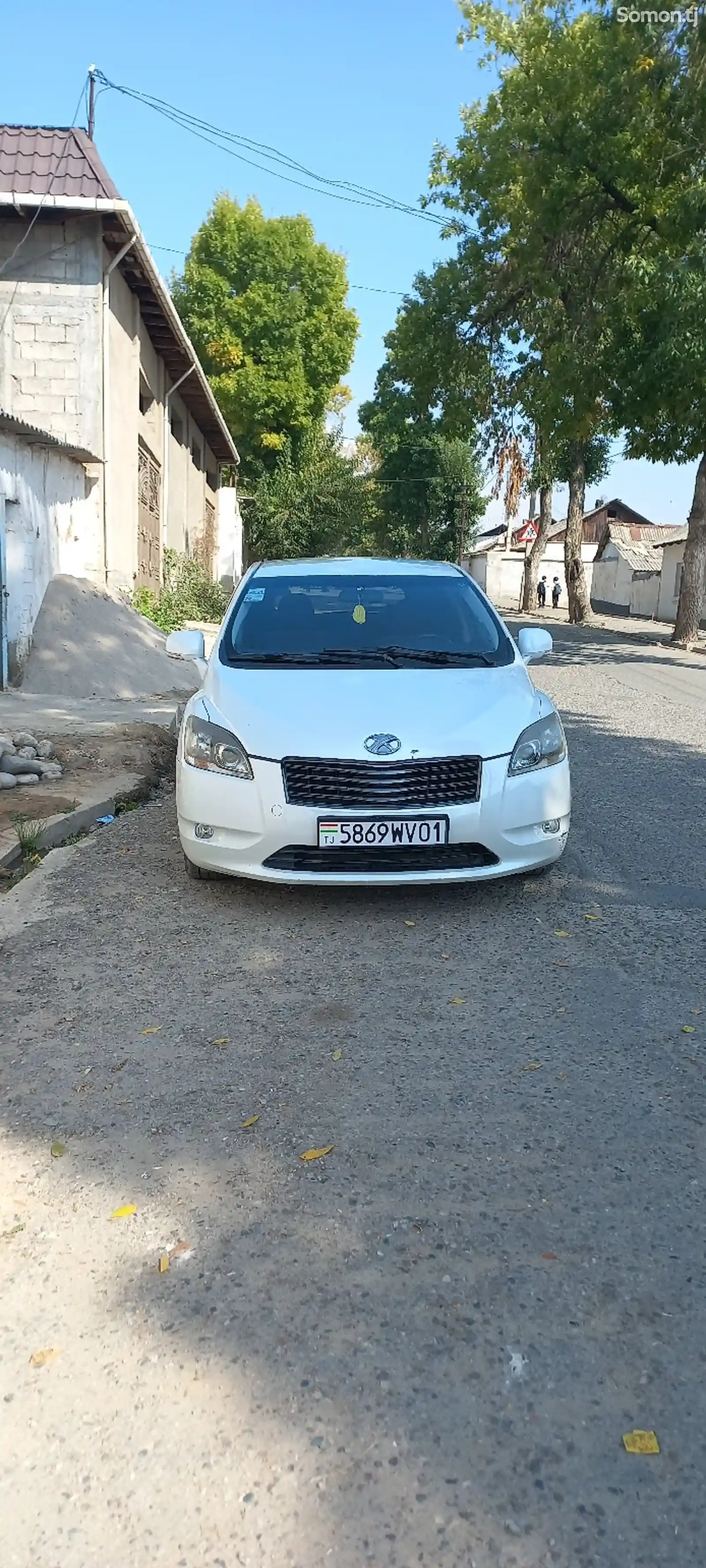 Toyota Mark X ZiO, 2009-1