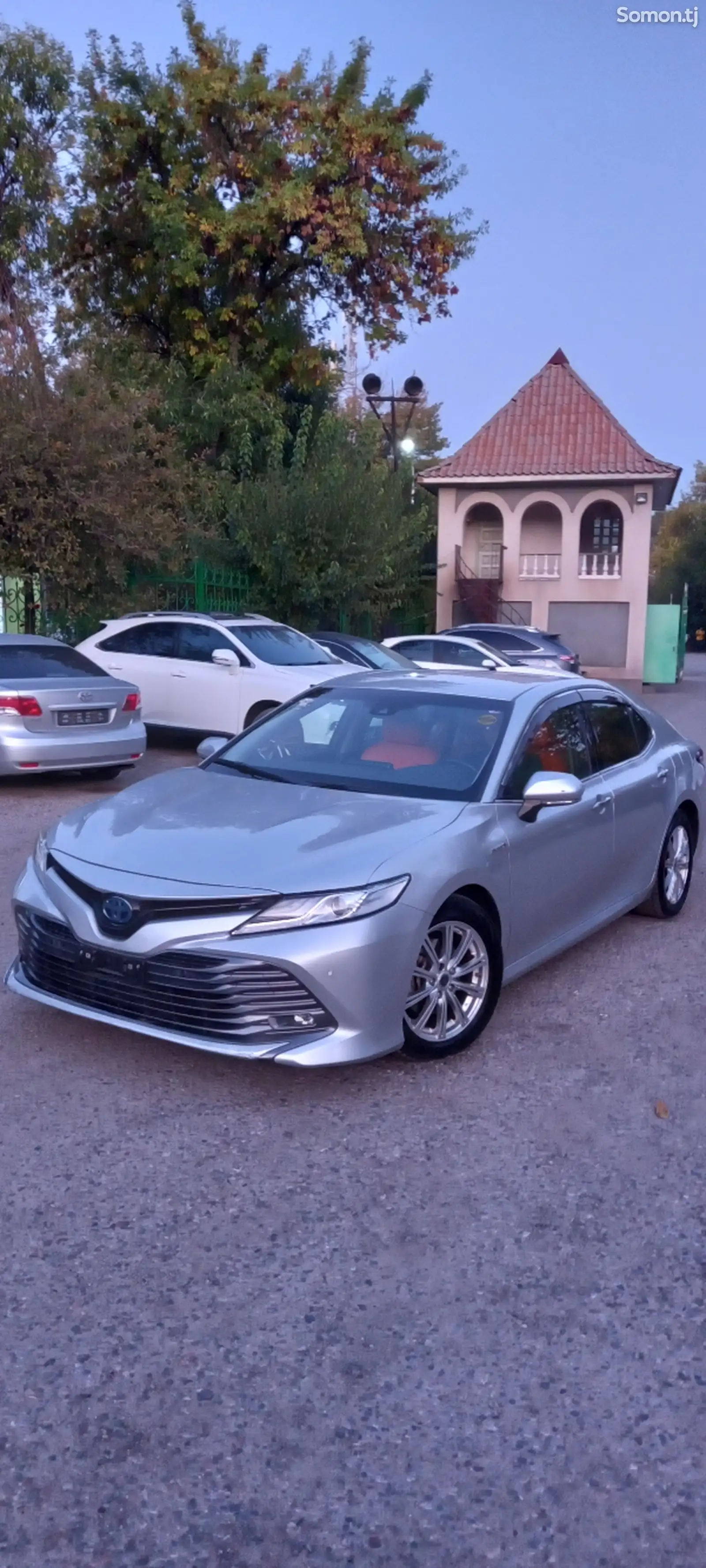 Toyota Camry, 2019-8