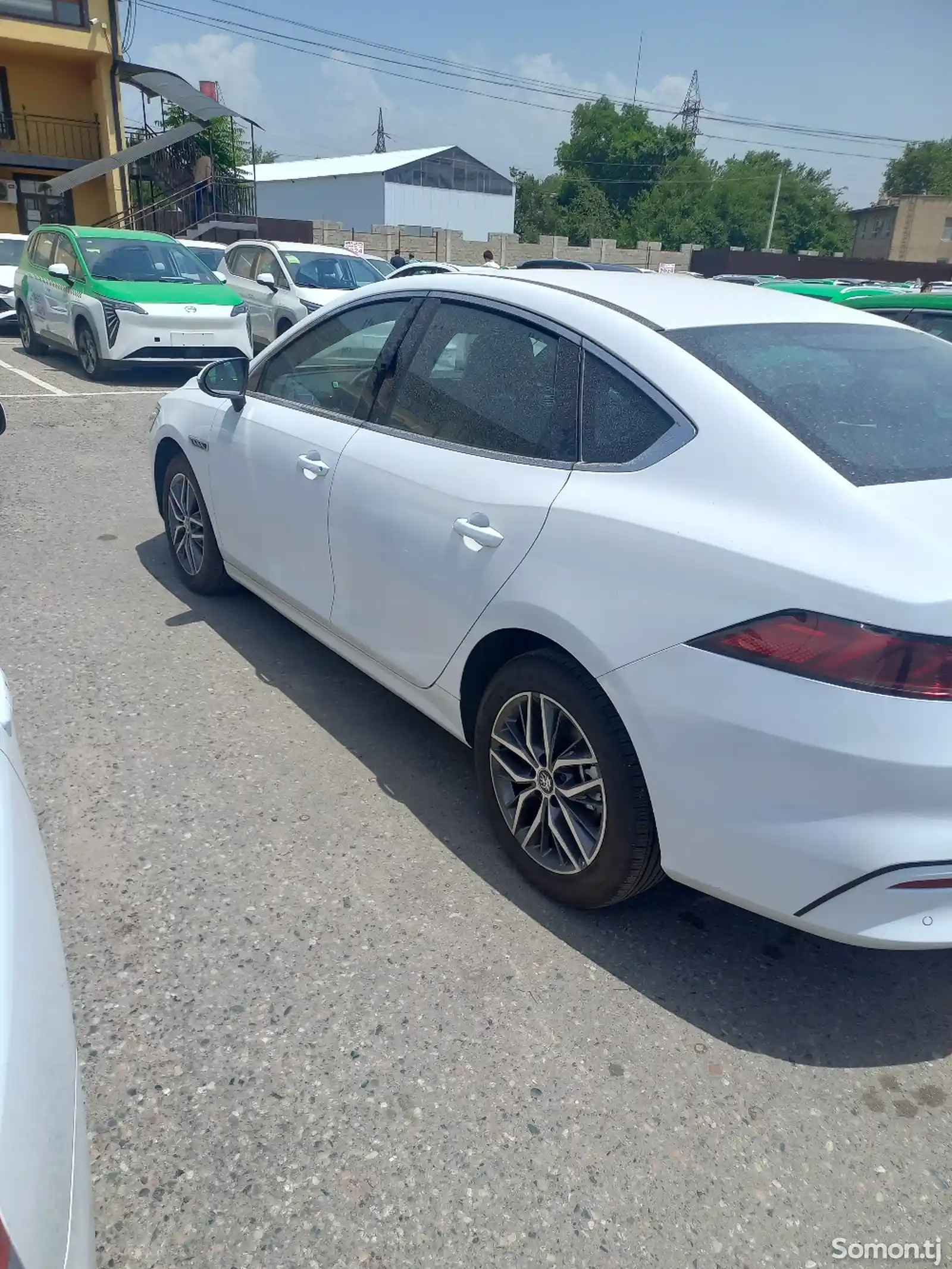 BYD Qin Plus, 2024-5