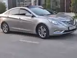 Hyundai Sonata, 2010-6