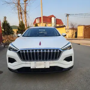 Hongqi E-HS3, 2020