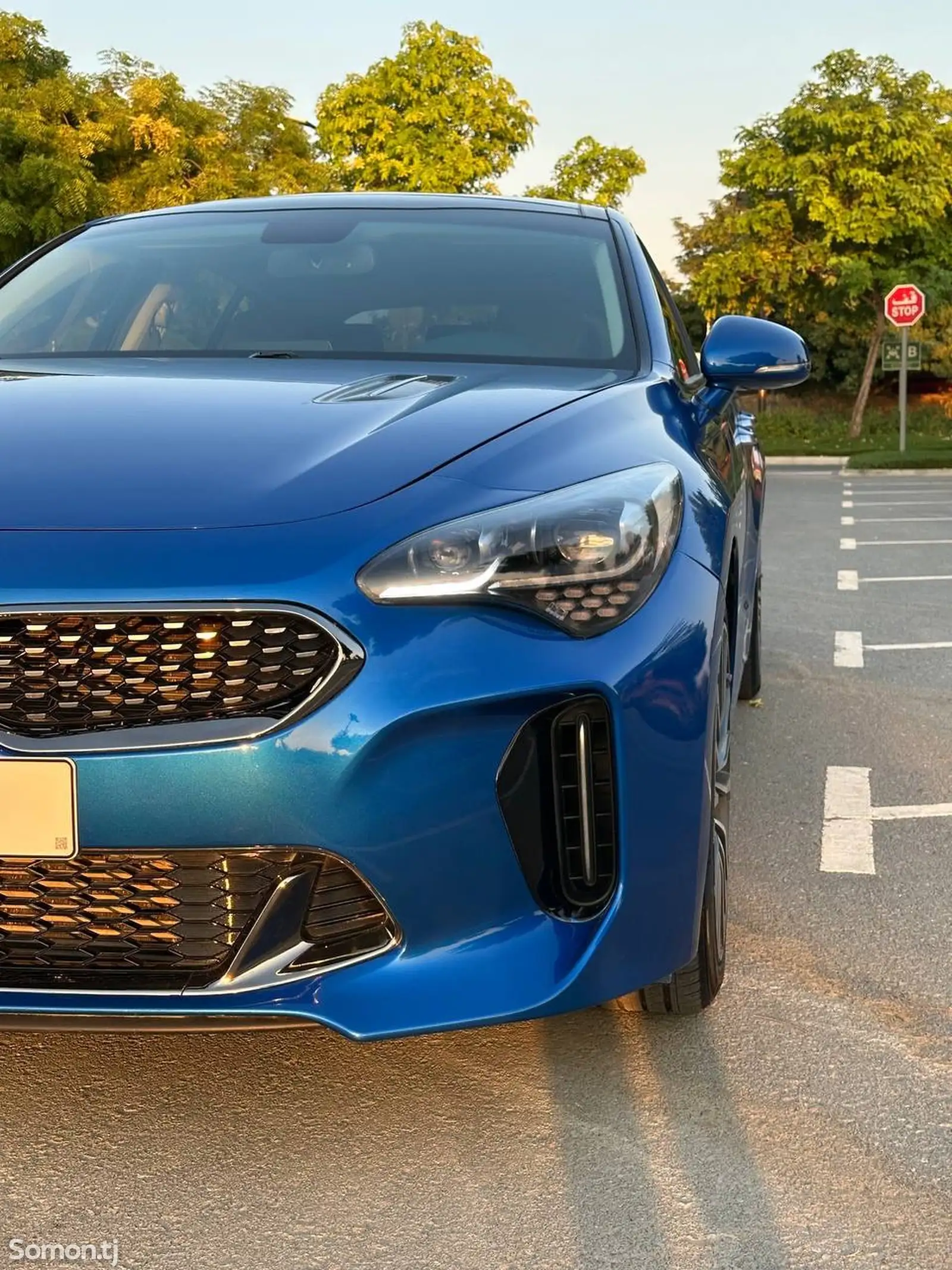 Kia Stinger, 2018-7