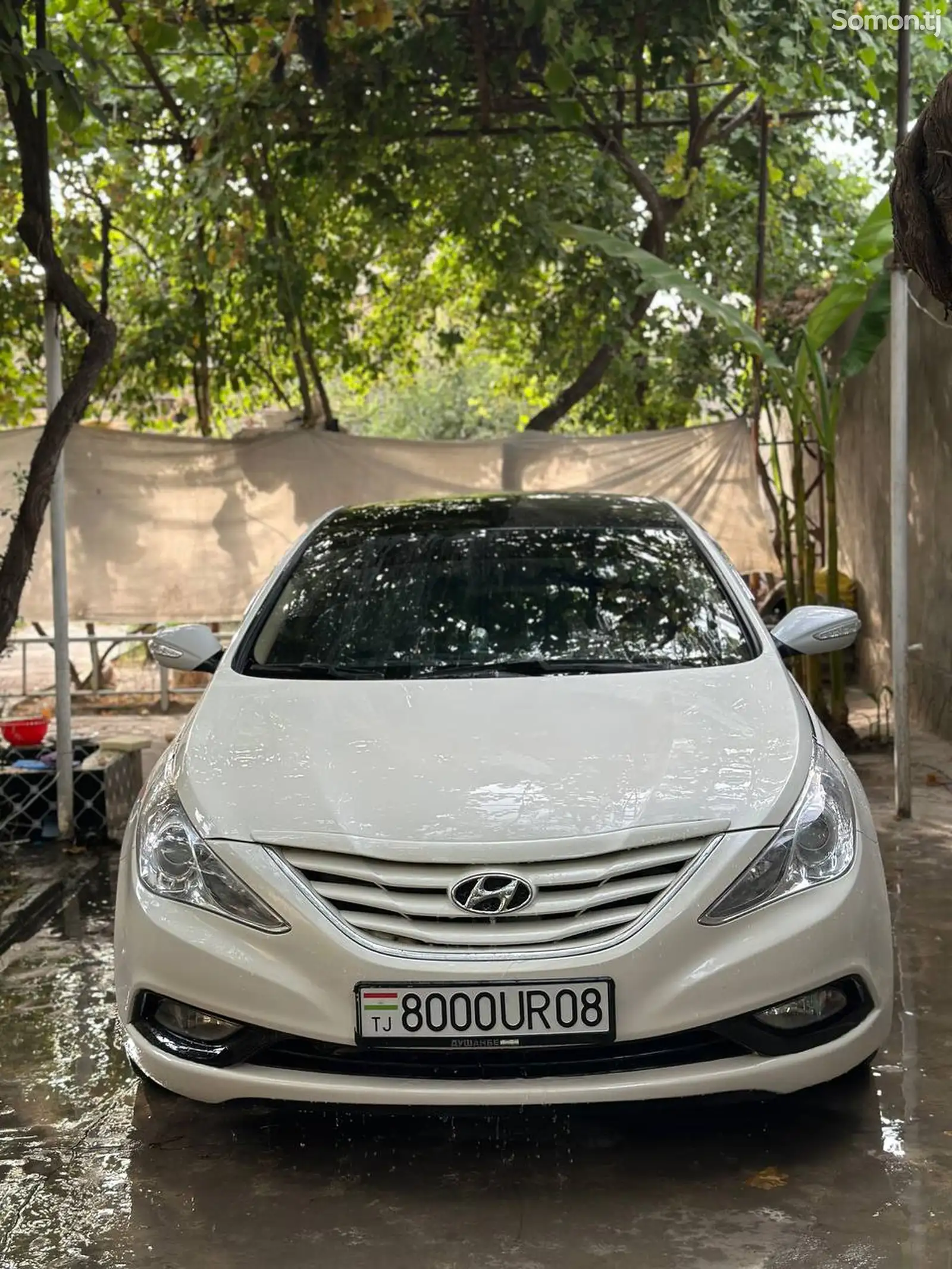 Hyundai Sonata, 2010-1