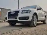 Audi Q5, 2010-3