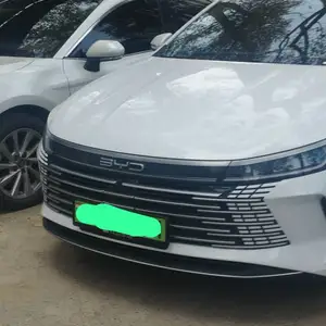 BYD Song Plus Flagship, 2024