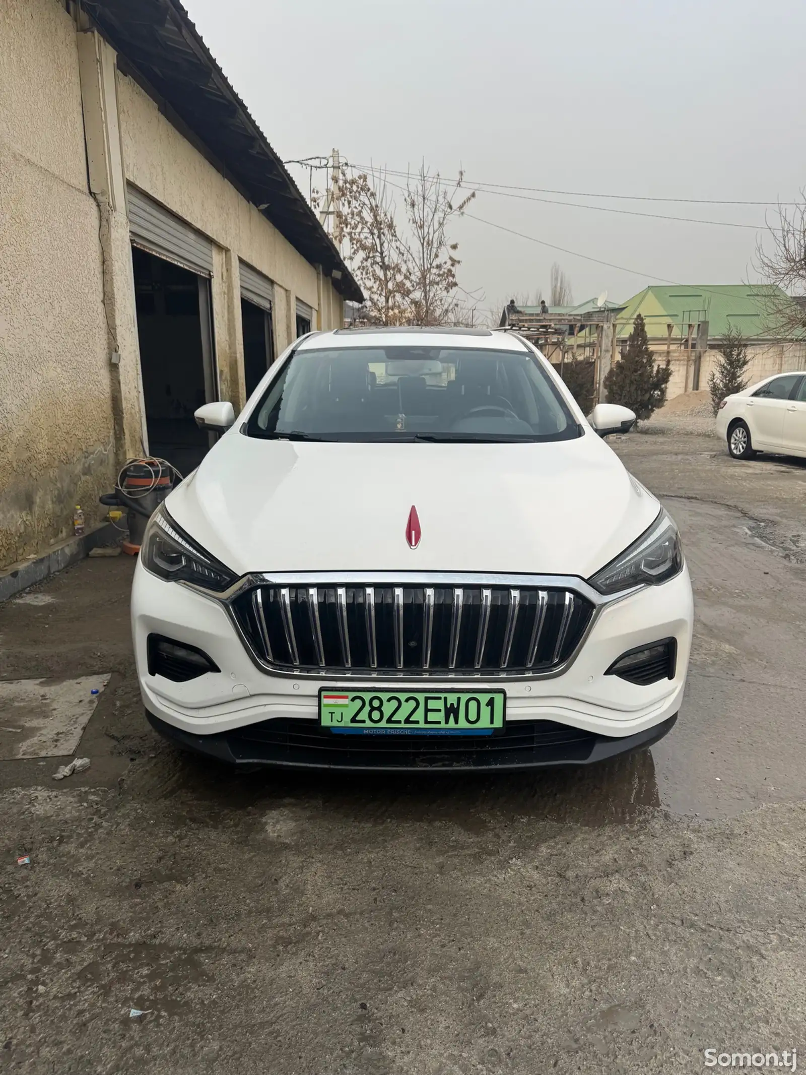 BYD, 2019-1