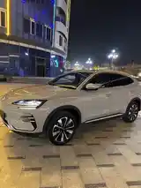 BYD Song Plus Flagship, 2024-12