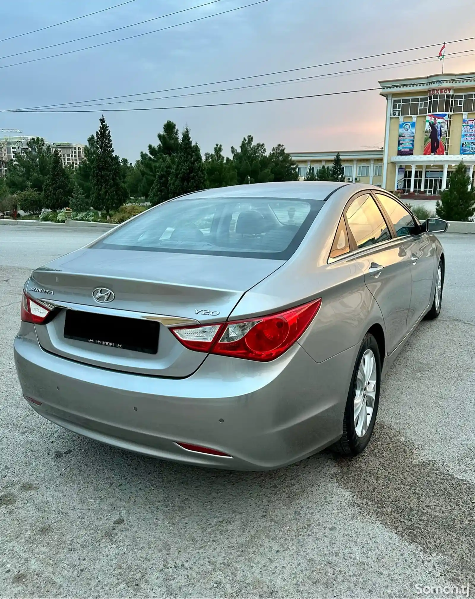 Hyundai Sonata, 2010-6