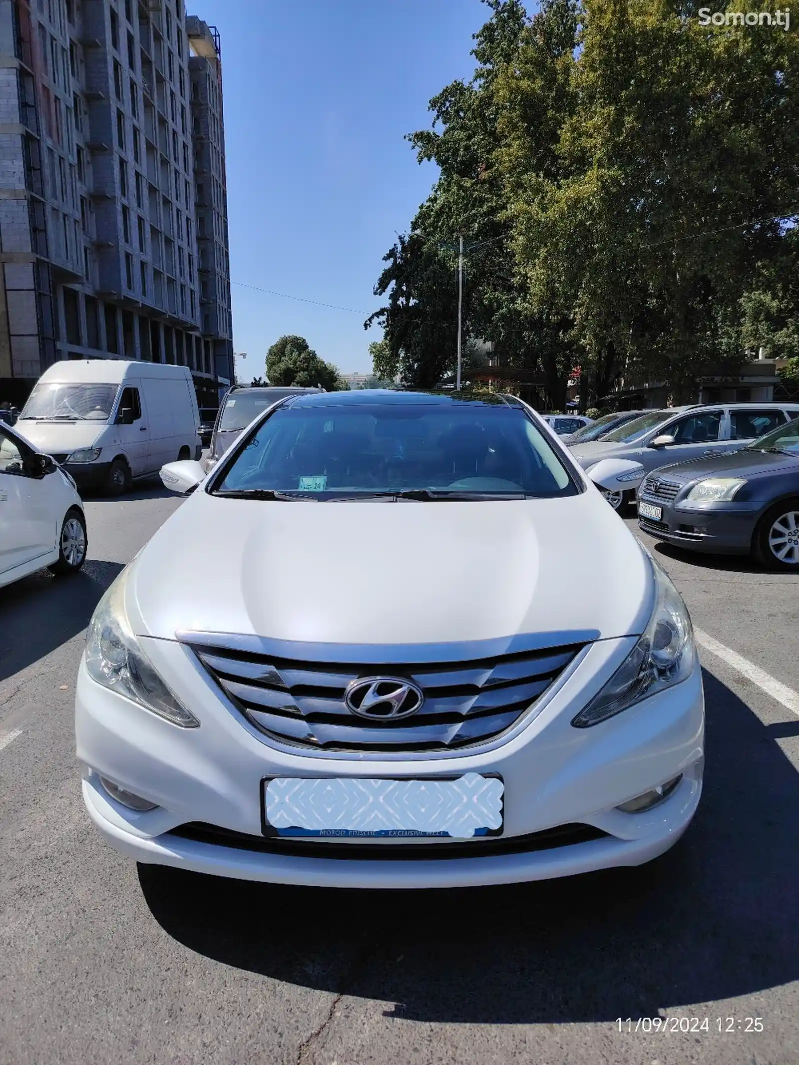 Hyundai Sonata, 2010-1