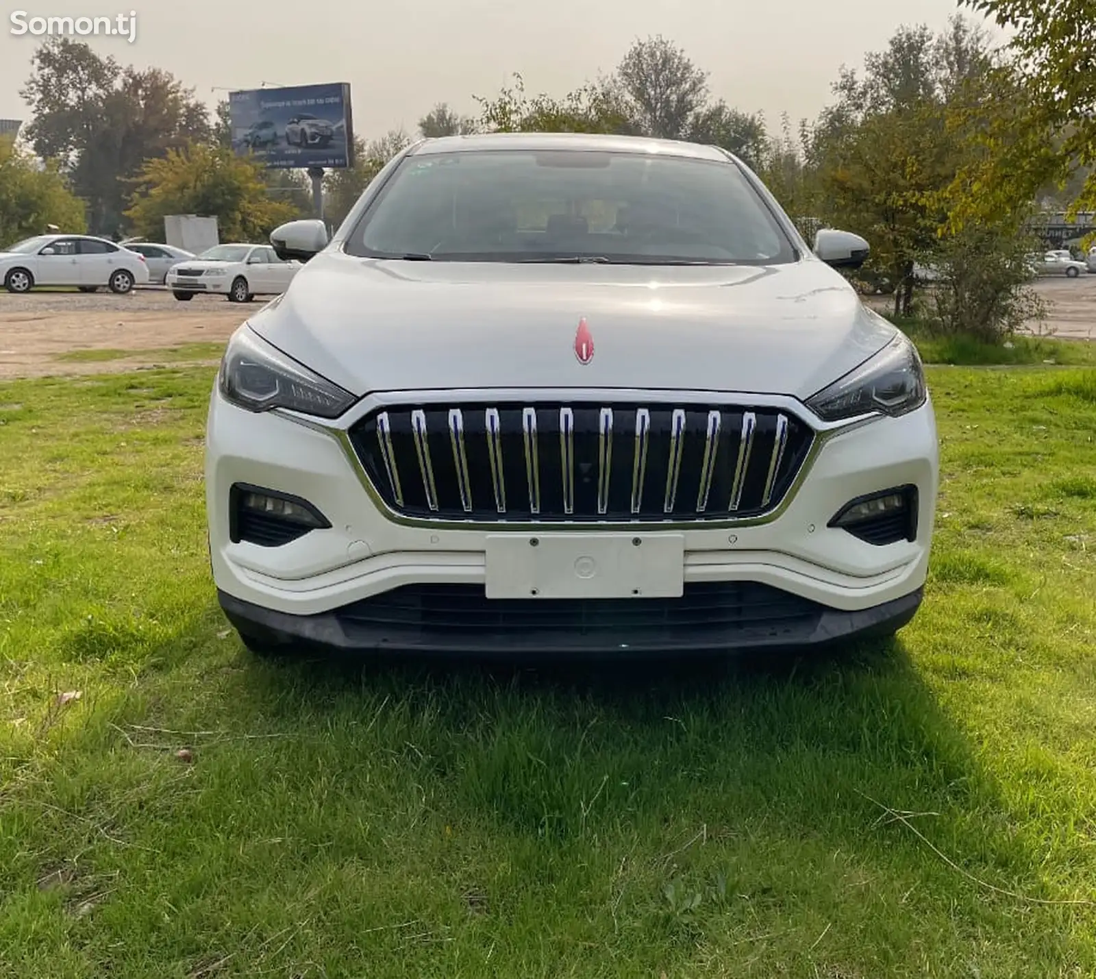 Hongqi E-HS3, 2019-1