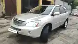 Lexus RX series, 2007-9