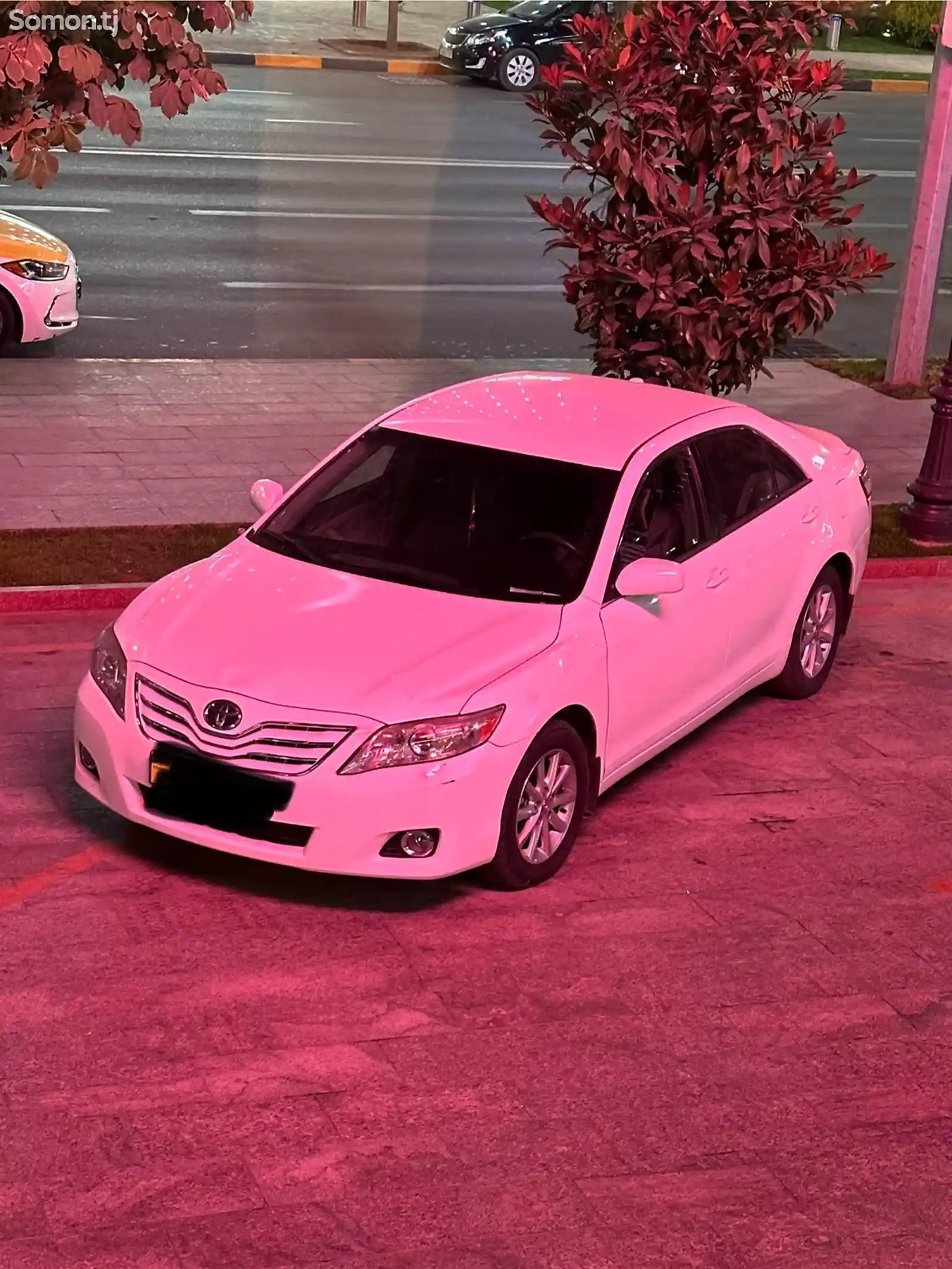 Toyota Camry, 2010-4