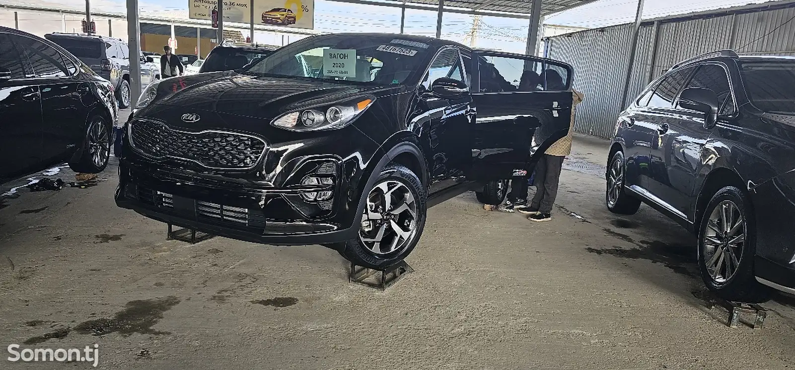 Kia Sportage, 2020-1