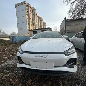 BYD E2, 2024